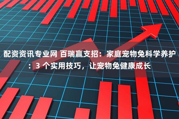 配资资讯专业网 百瑞赢支招:家庭宠物兔科学养护:3 个实用技巧,让宠物兔健康成长